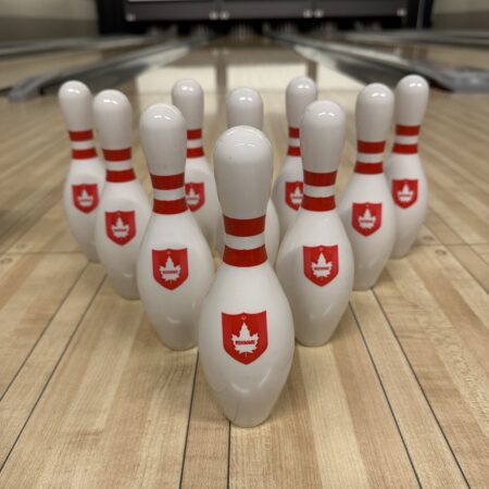 Mini Bowling pins – One Box