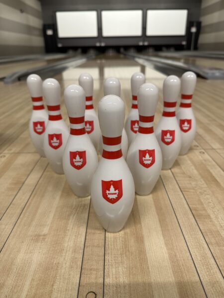 Mini Bowling pins - One Box